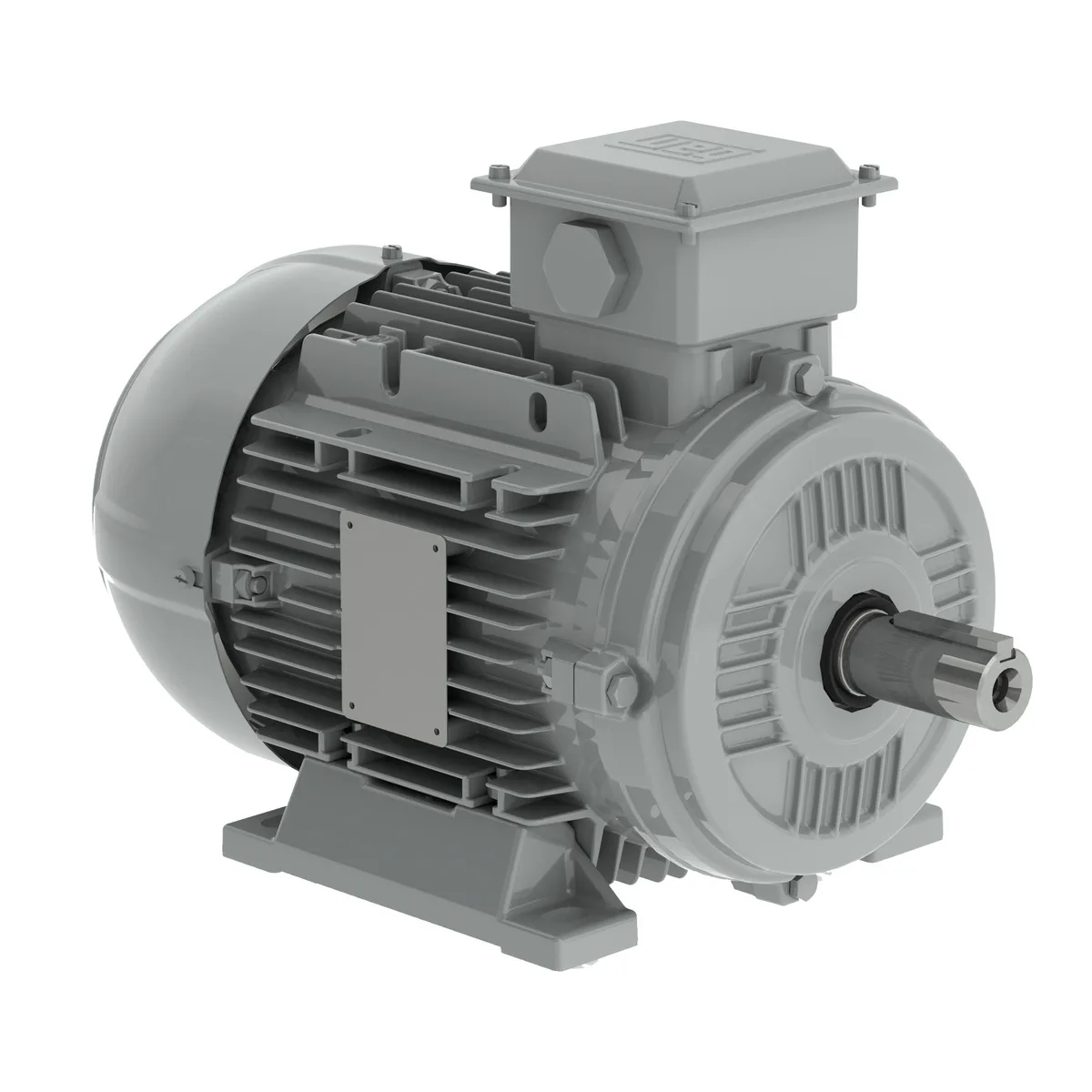 WEG W20 series electric motor
